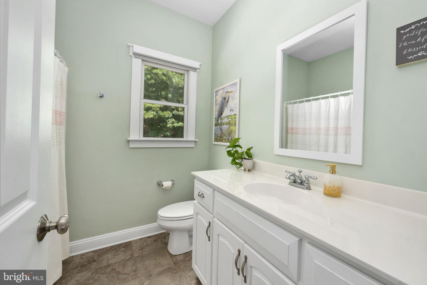 580 Icehouse Cove Ln Property Photo 88