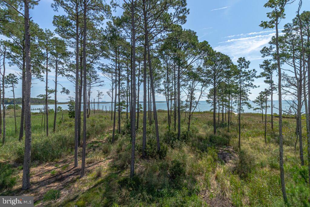 107 Galway Dr Property Photo 77