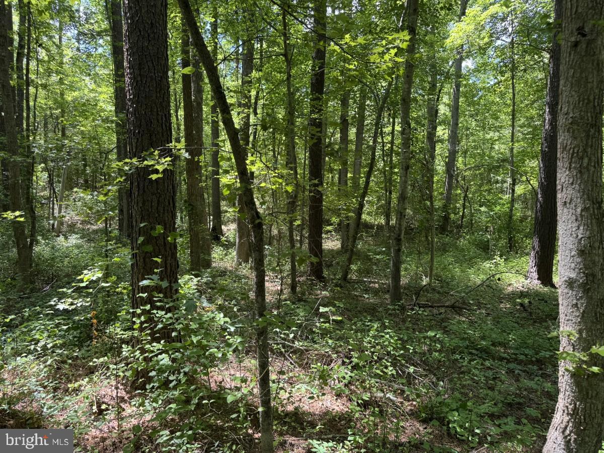 0 Lone Pine Rd Property Photo 19
