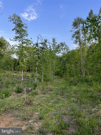 0 Smokey Property Photo 1