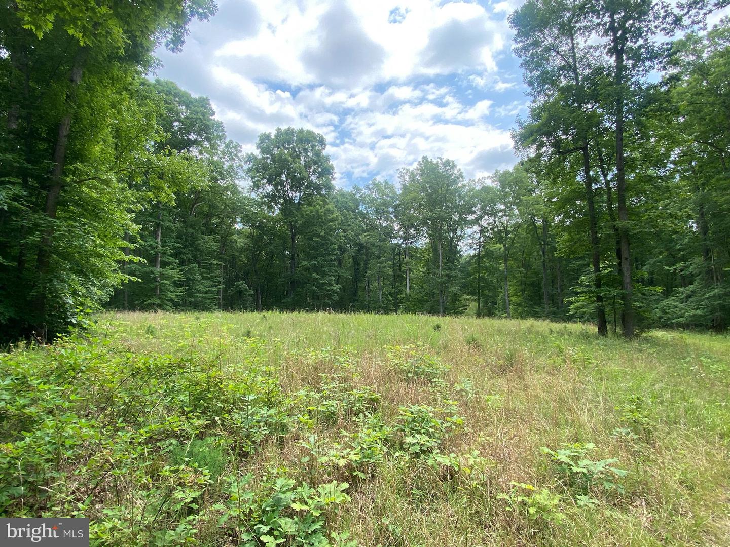 0 Hope Ln Property Photo 1