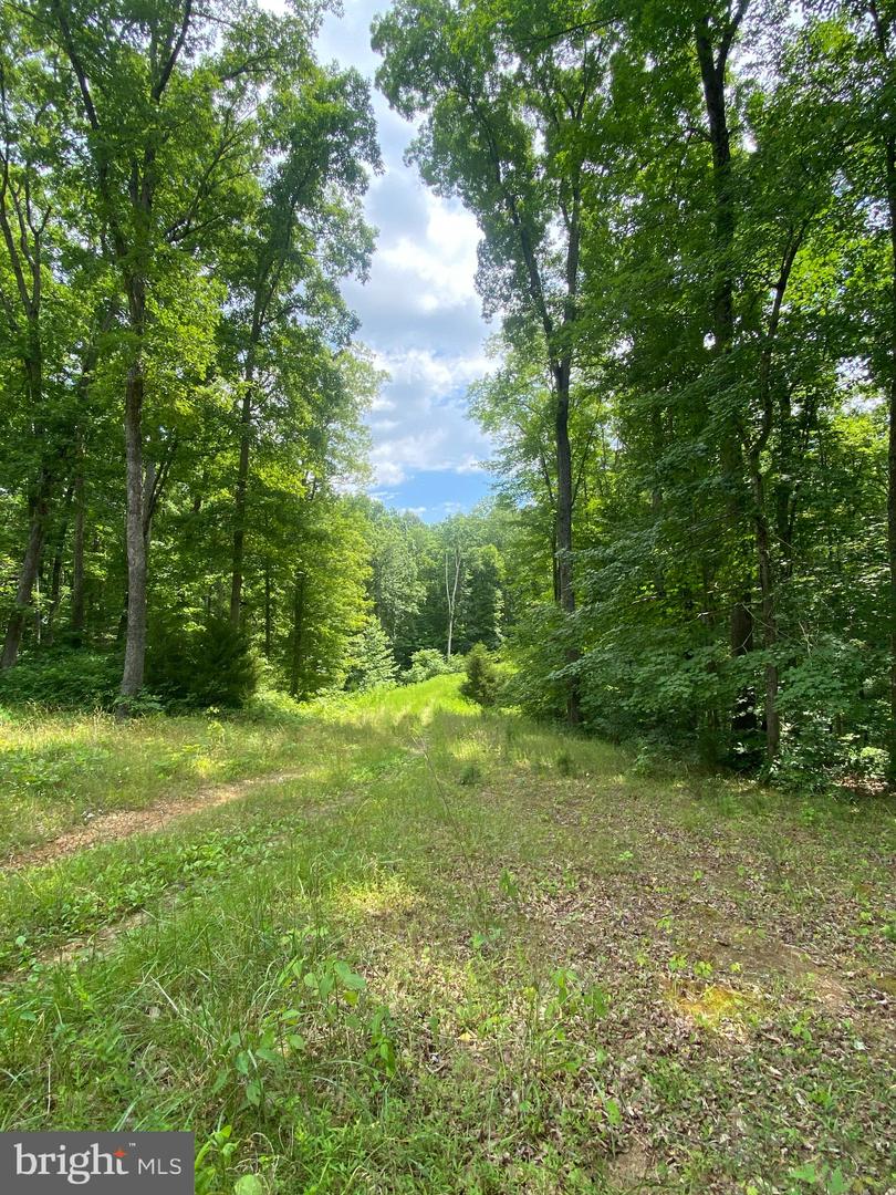 0 Hope Ln Property Photo 4