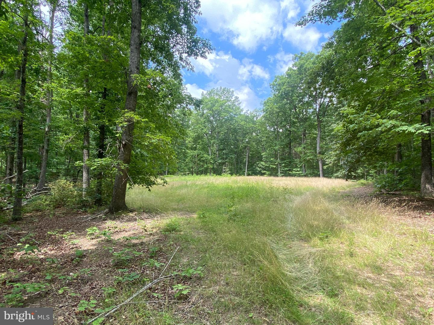 0 Hope Ln Property Photo 5