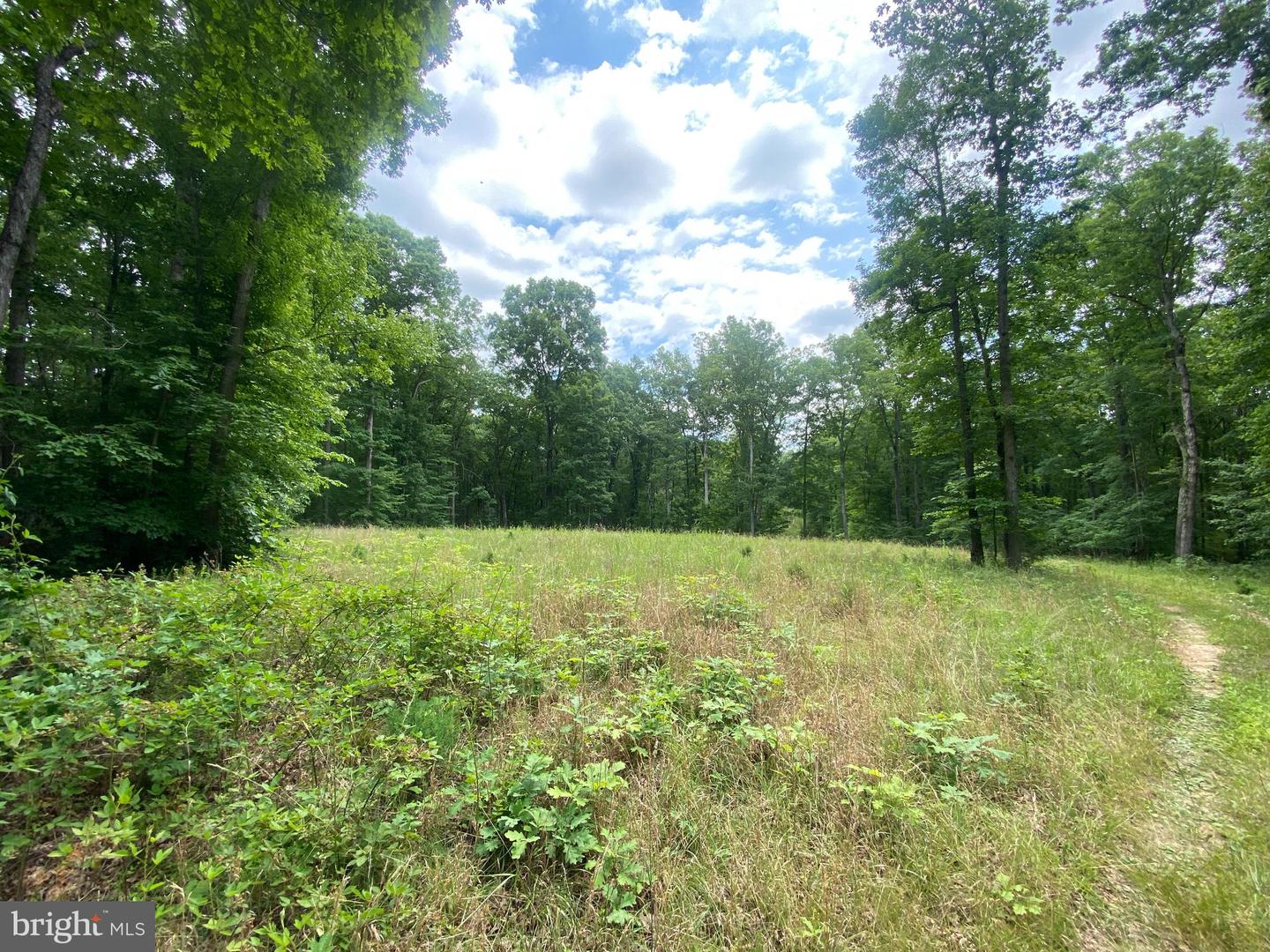 0 Hope Ln Property Photo 8