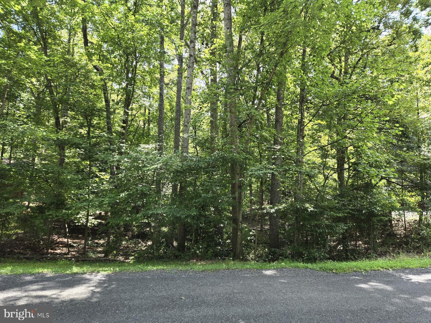 135 Monticello Cir Property Photo 1