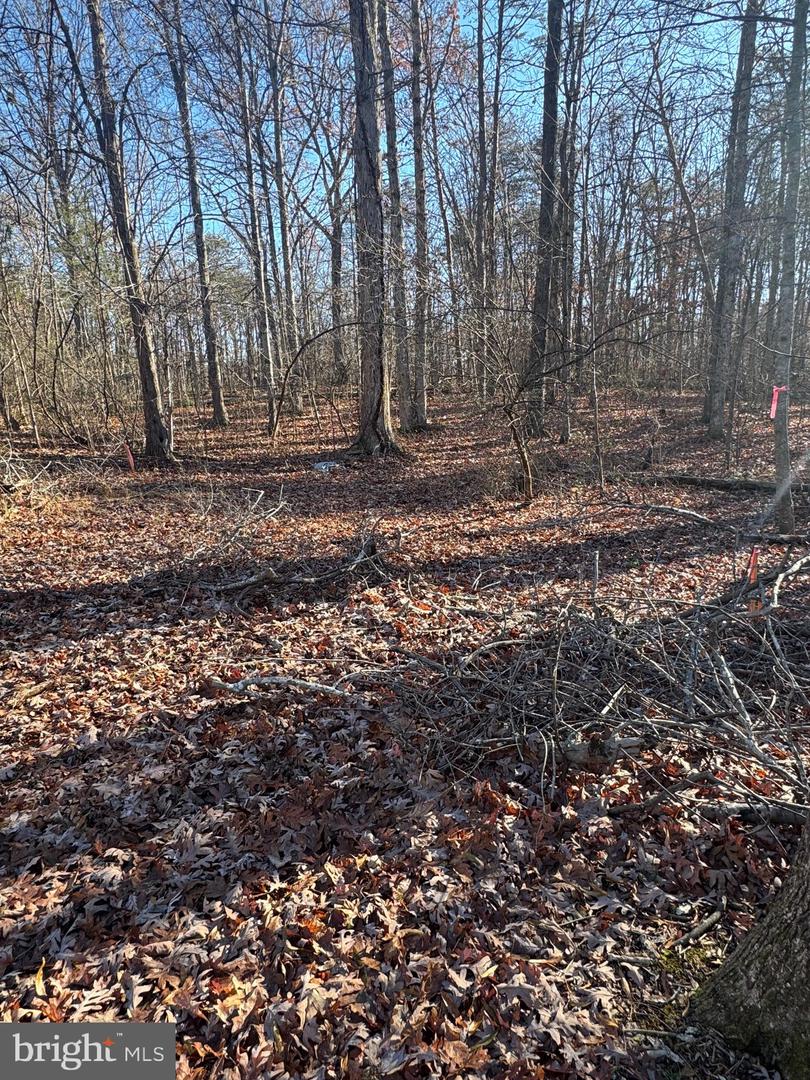 00 Cox Mill Road Property Photo 1