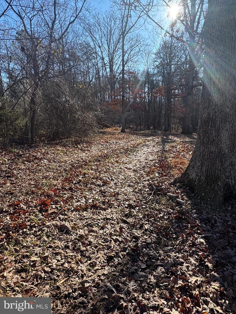 00 Cox Mill Road Property Photo