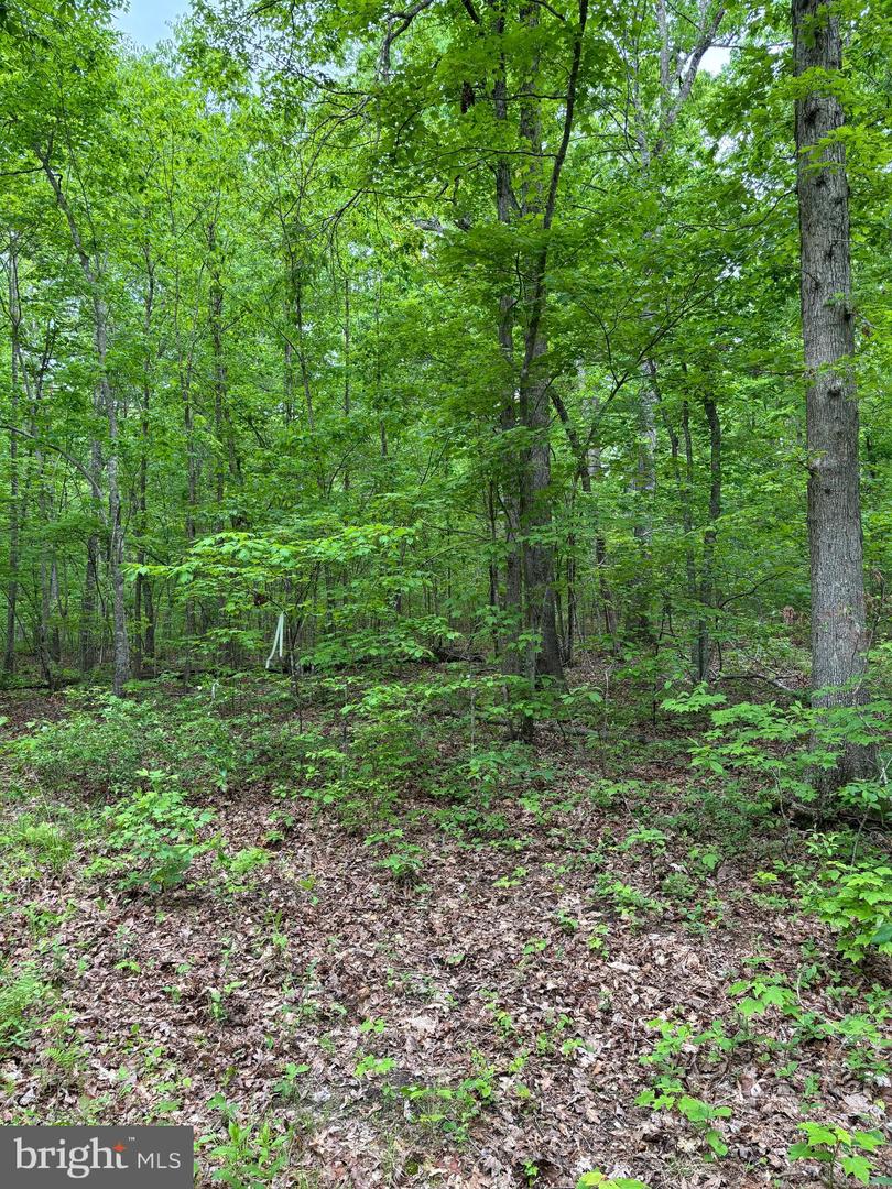 R/w Off Justice Ln Property Photo