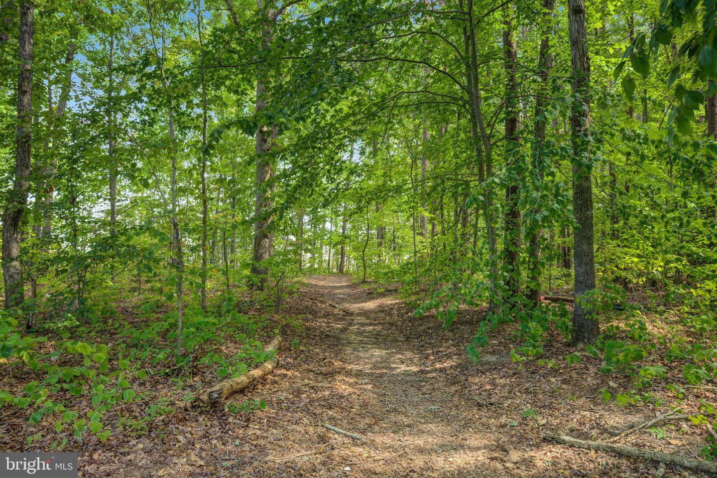 2584 Cougar Ln #lot 537 Property Photo 40