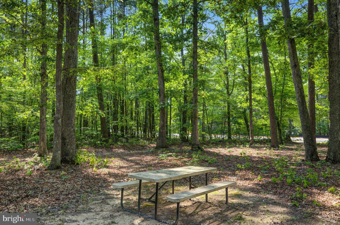 2584 Cougar Ln #lot 537 Property Photo 41