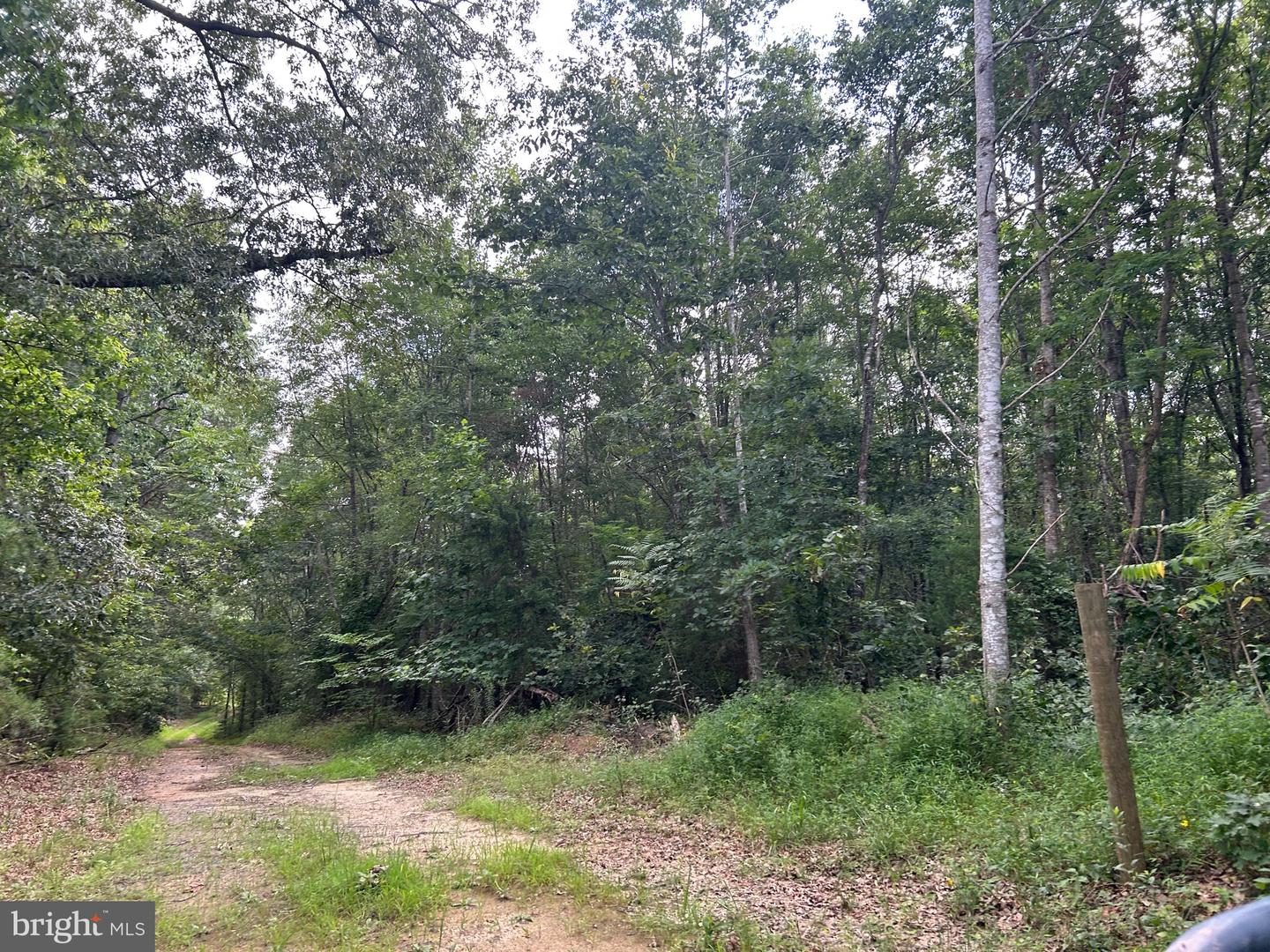 Bickers Ln Property Photo 1
