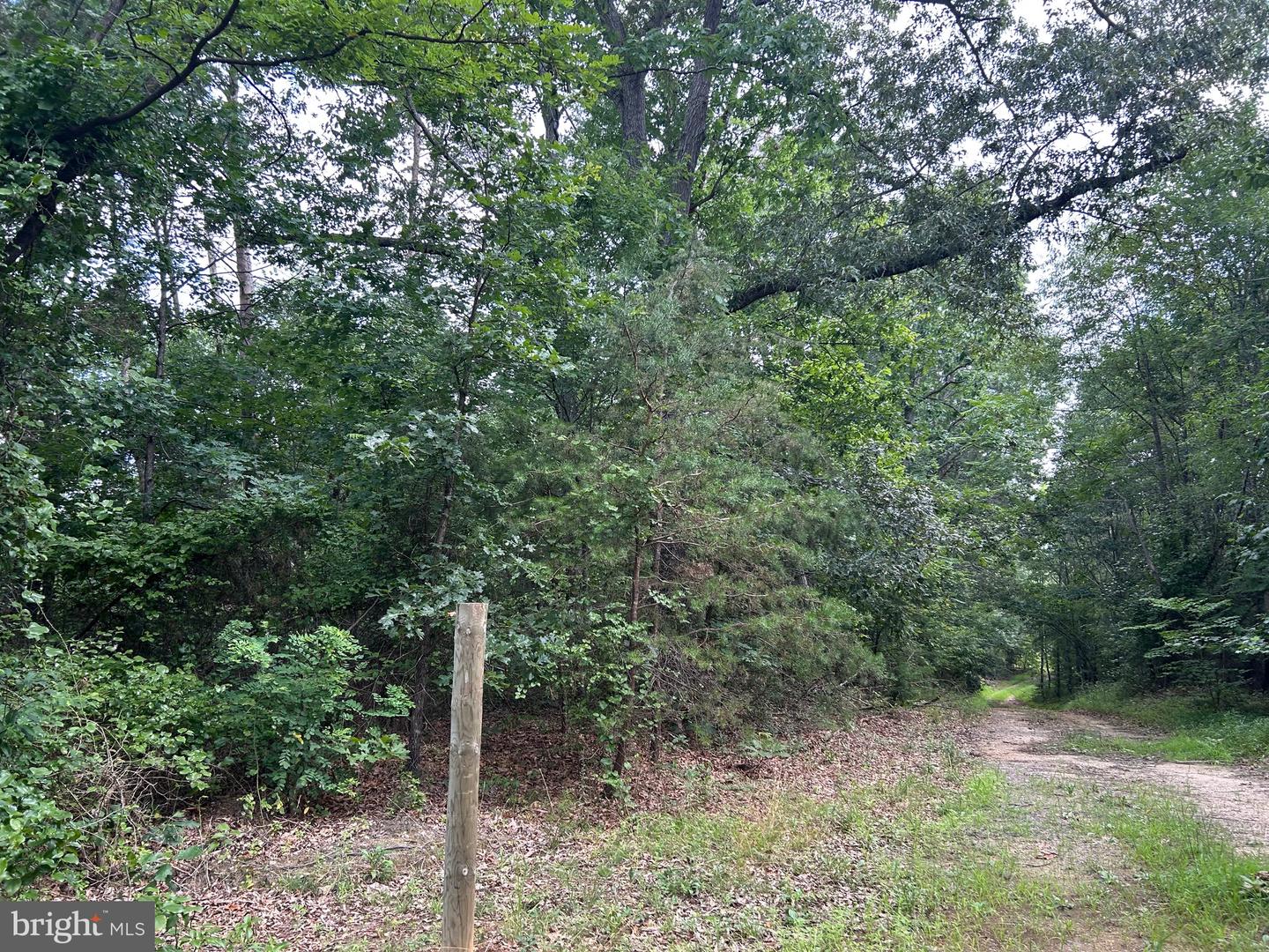 Bickers Ln Property Photo 3
