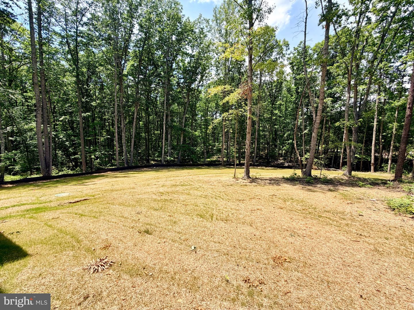 12215 Autumn Ridge Ln Property Photo 33