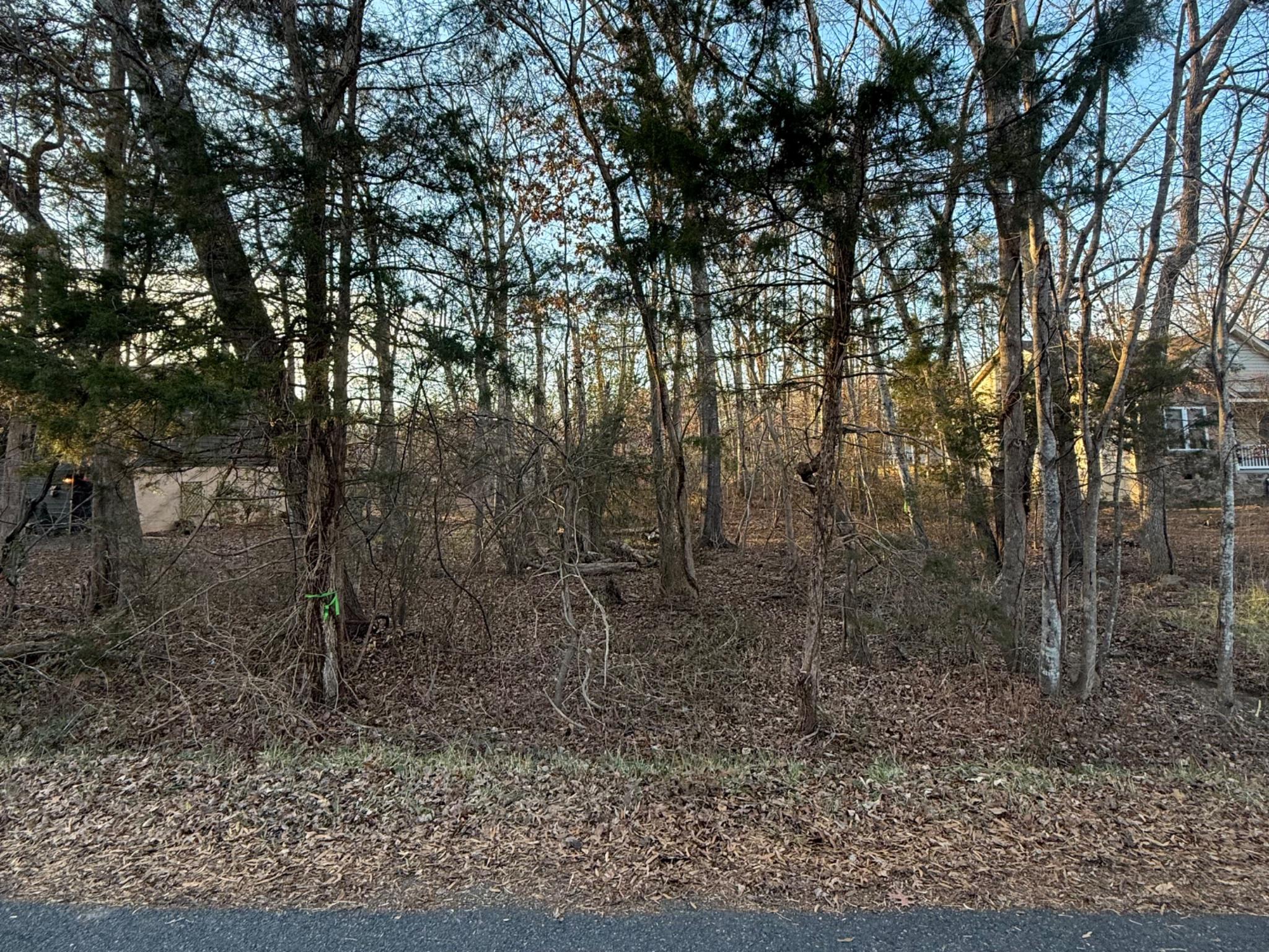 119 Republic Ave Property Photo 3