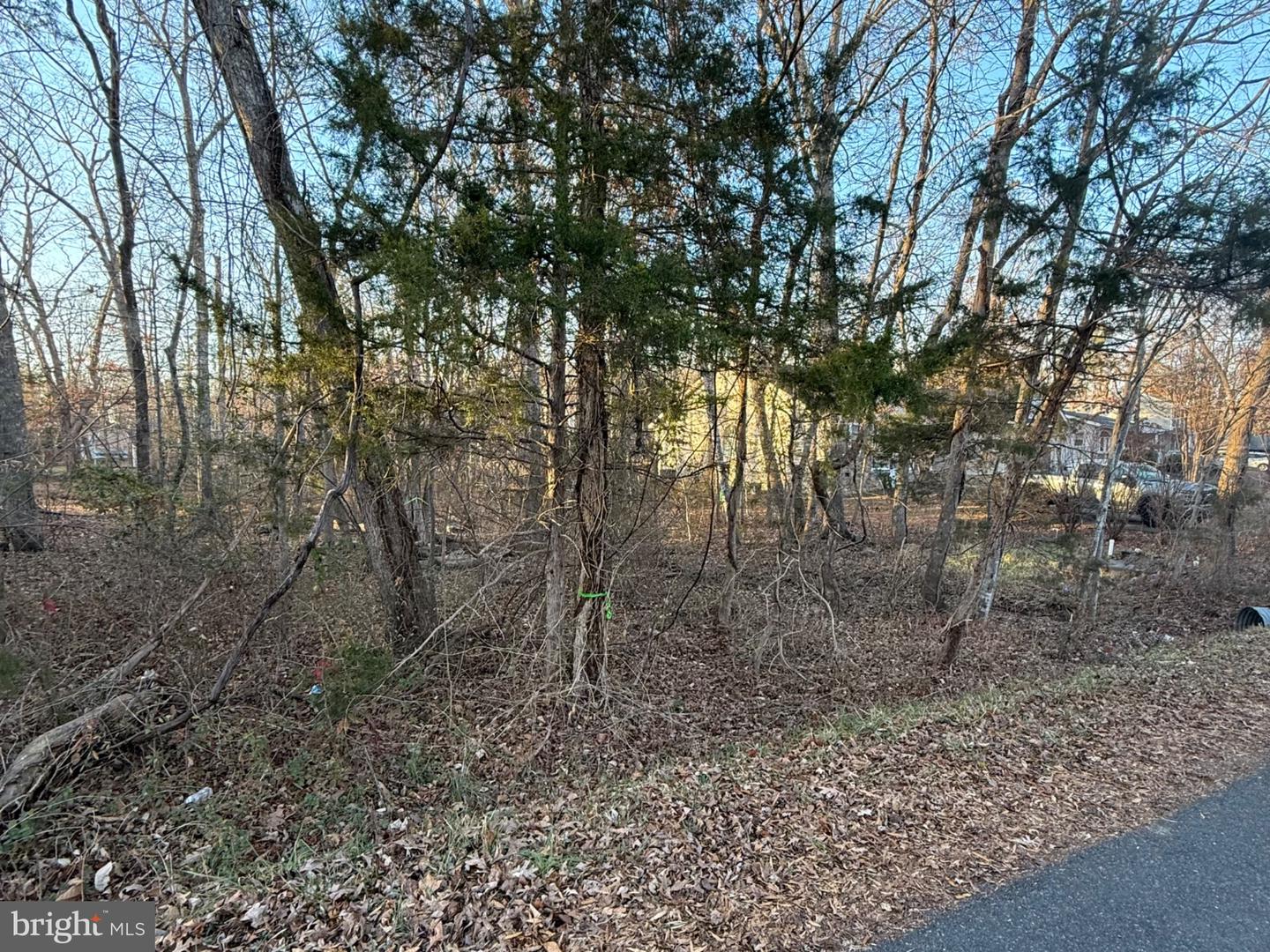 119 Republic Ave Property Photo 5
