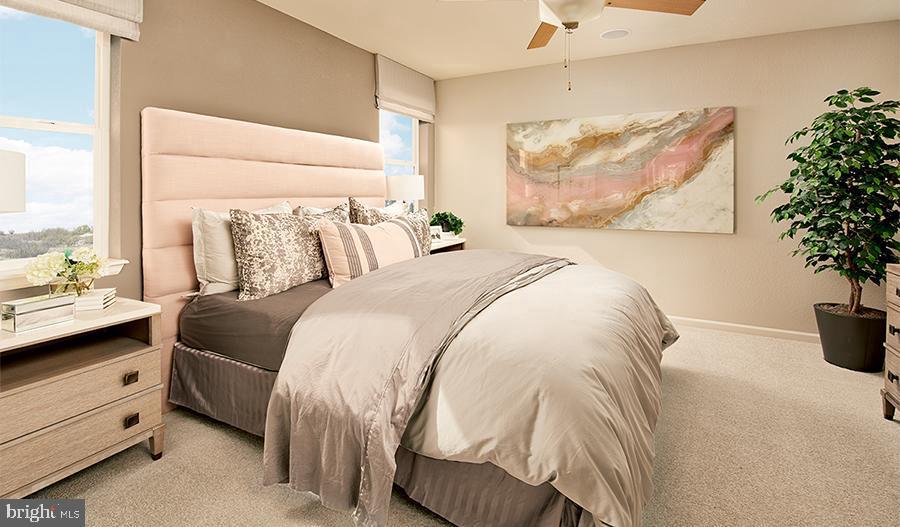 Clover Lane - Alexandrite Property Photo 6