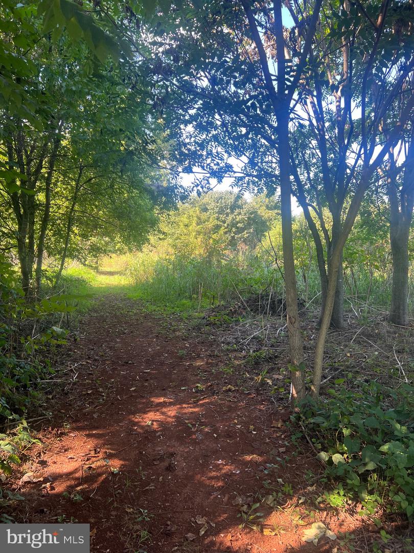 James Madison Hwy Property Photo 1