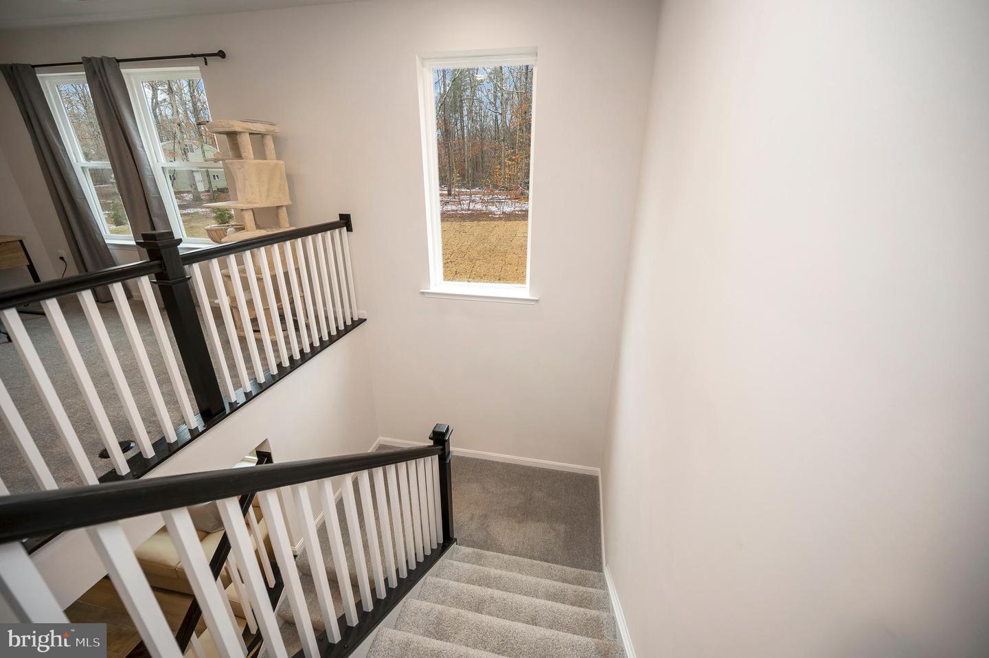 2892 White Tail Dr Property Photo 22
