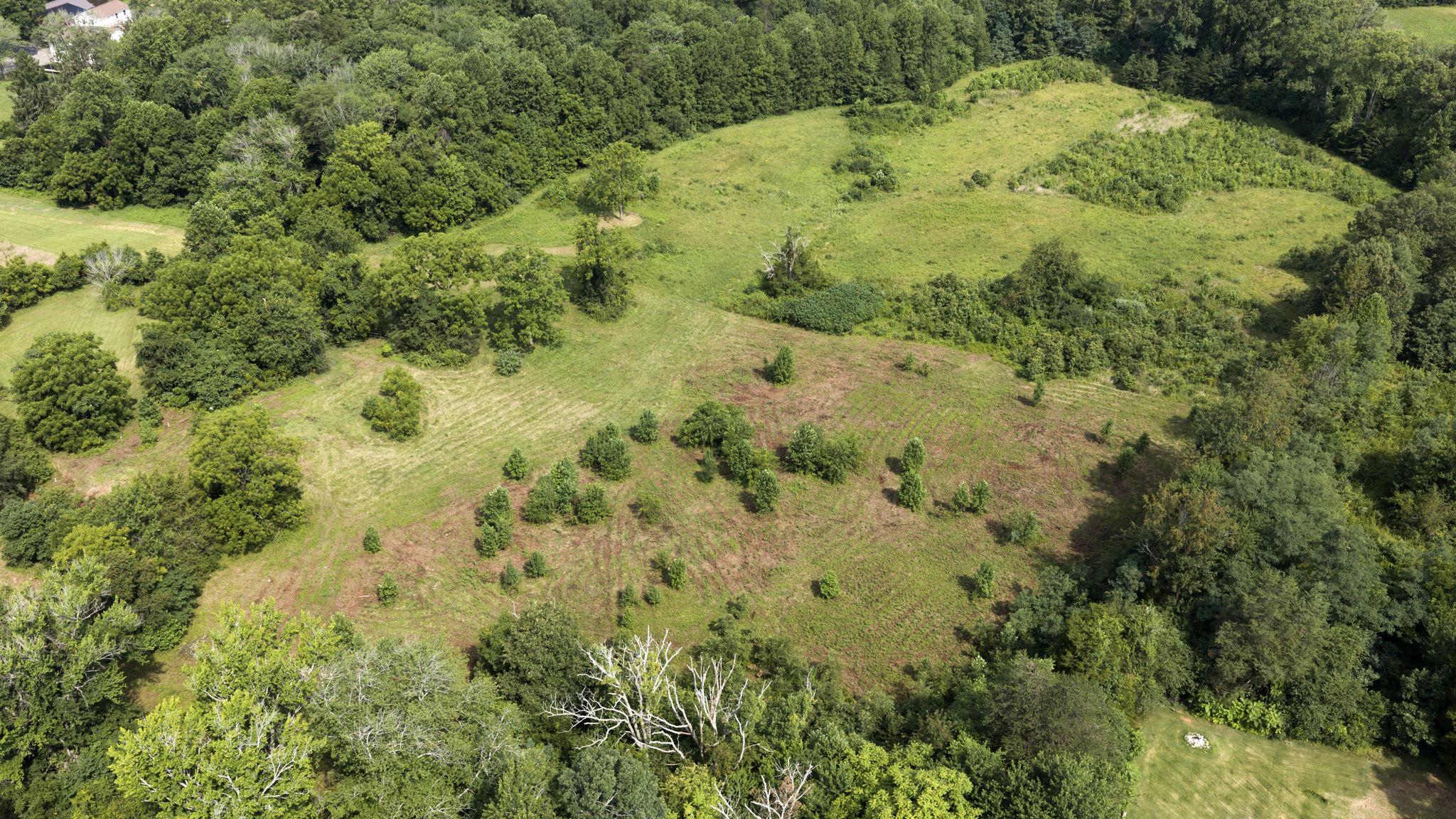 24333 Narrow Gauge Rd Property Photo 65