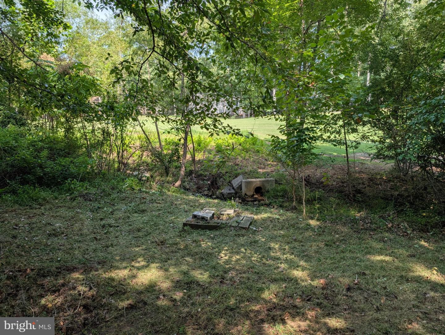 1115 Eastover Pkwy Property Photo 85