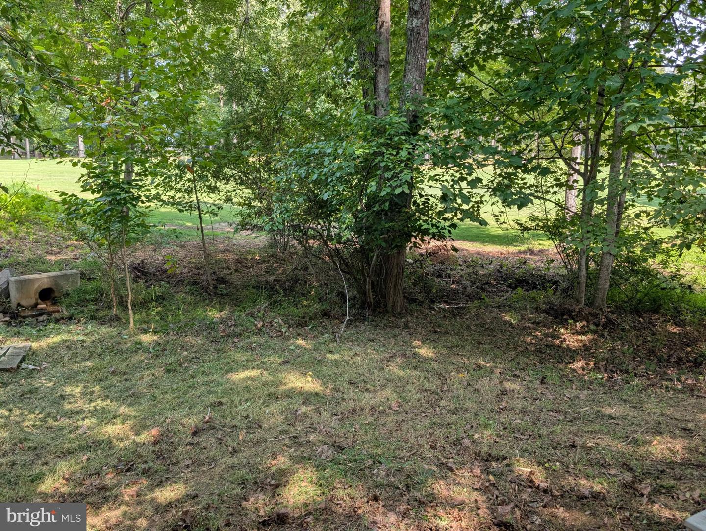 1115 Eastover Pkwy Property Photo 86