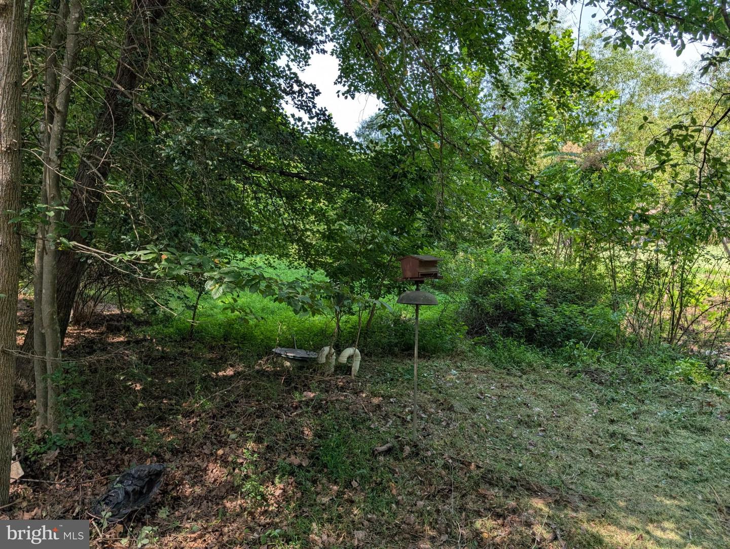 1115 Eastover Pkwy Property Photo 88