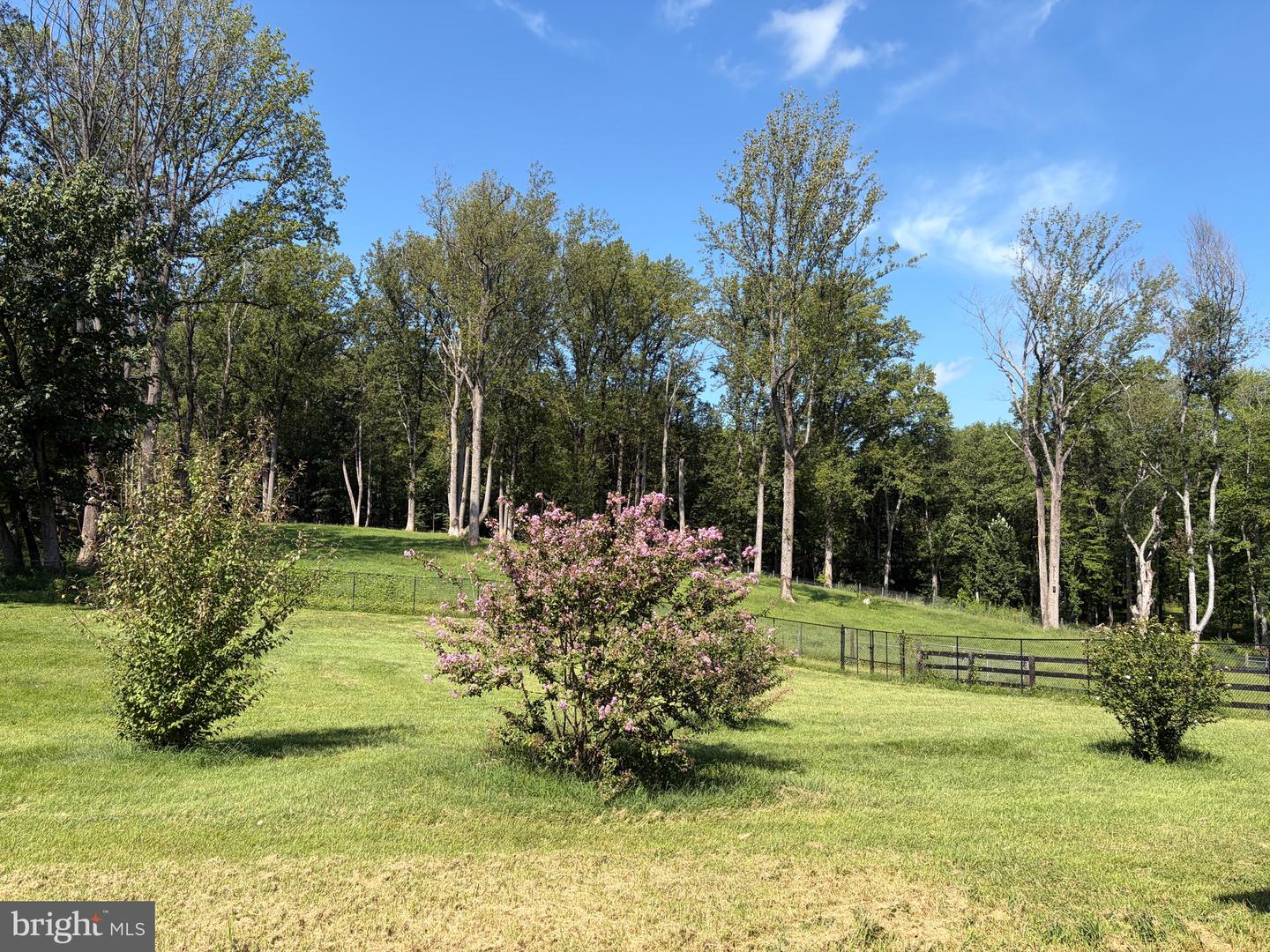 19050 Monteith Farm Rd Property Photo 6