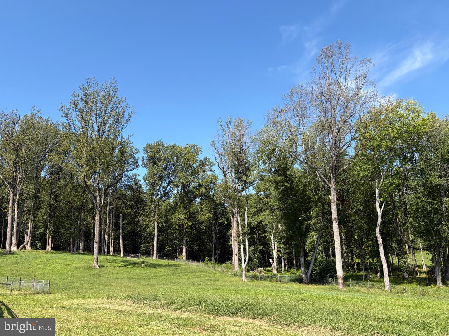 19050 Monteith Farm Rd Property Photo 15