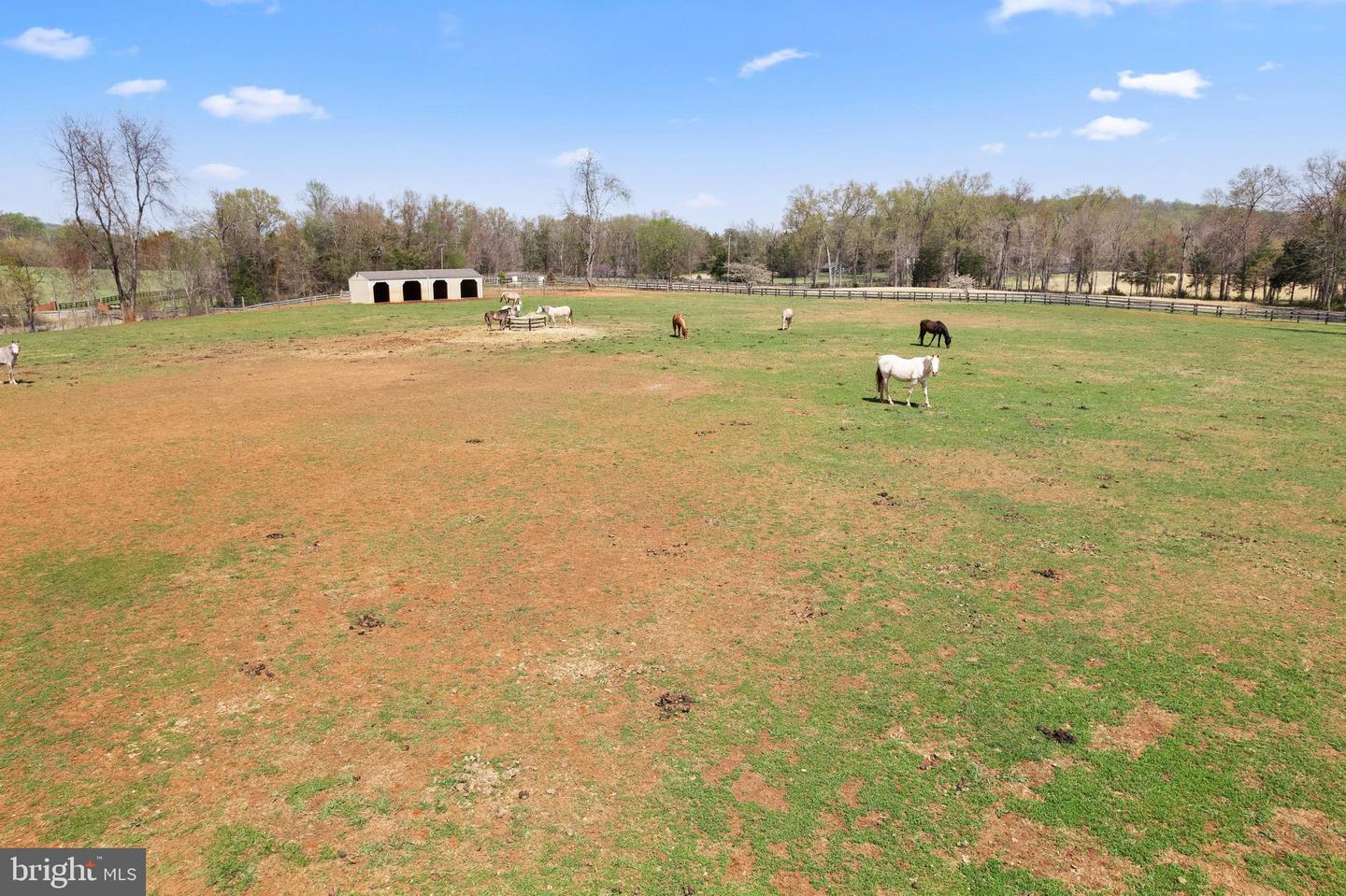 19050 Monteith Farm Rd Property Photo 23