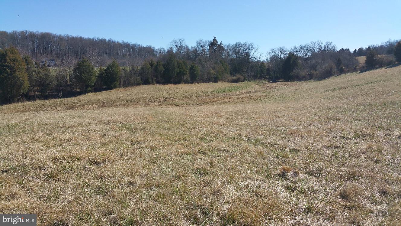 9471 Little Skyline Dr Property Photo 22