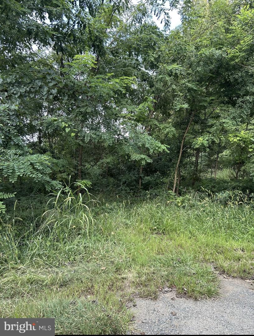 129 Bowler Ln Property Photo 1