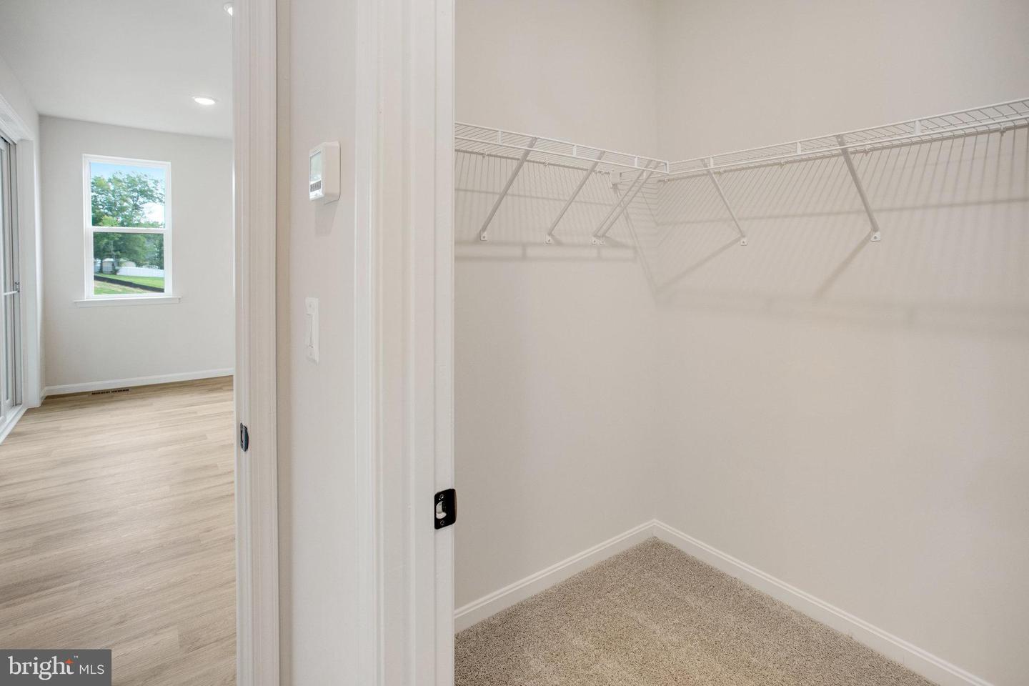 35599 Pine Needle Ln Property Photo 18