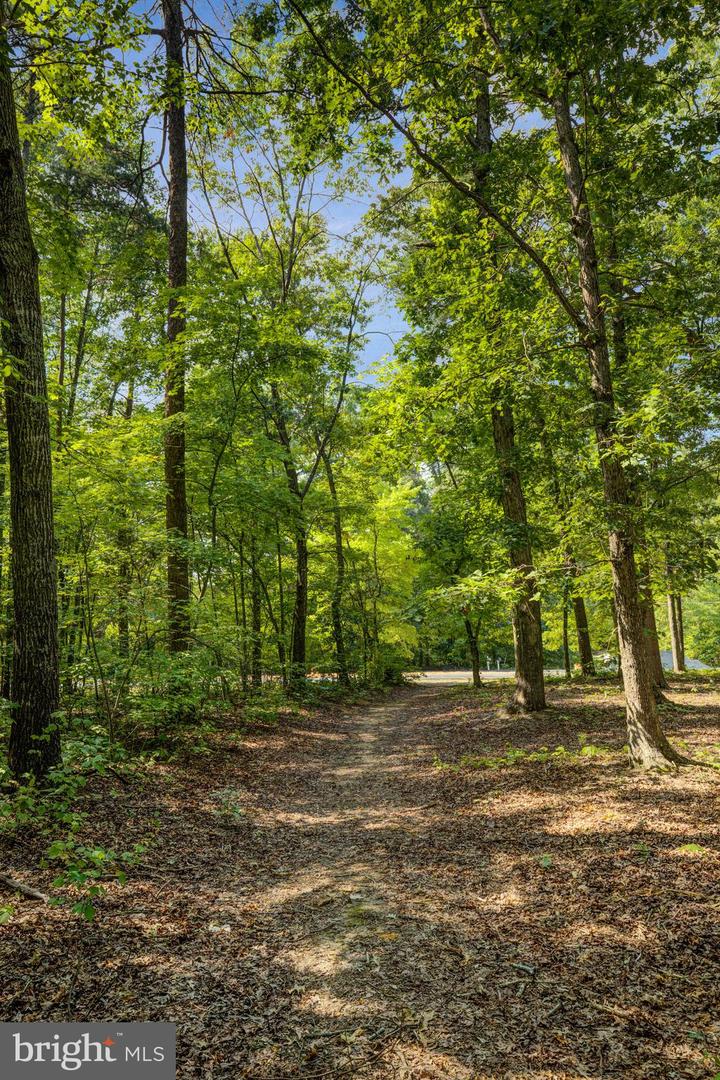 36251 Coyote Trl Property Photo 41