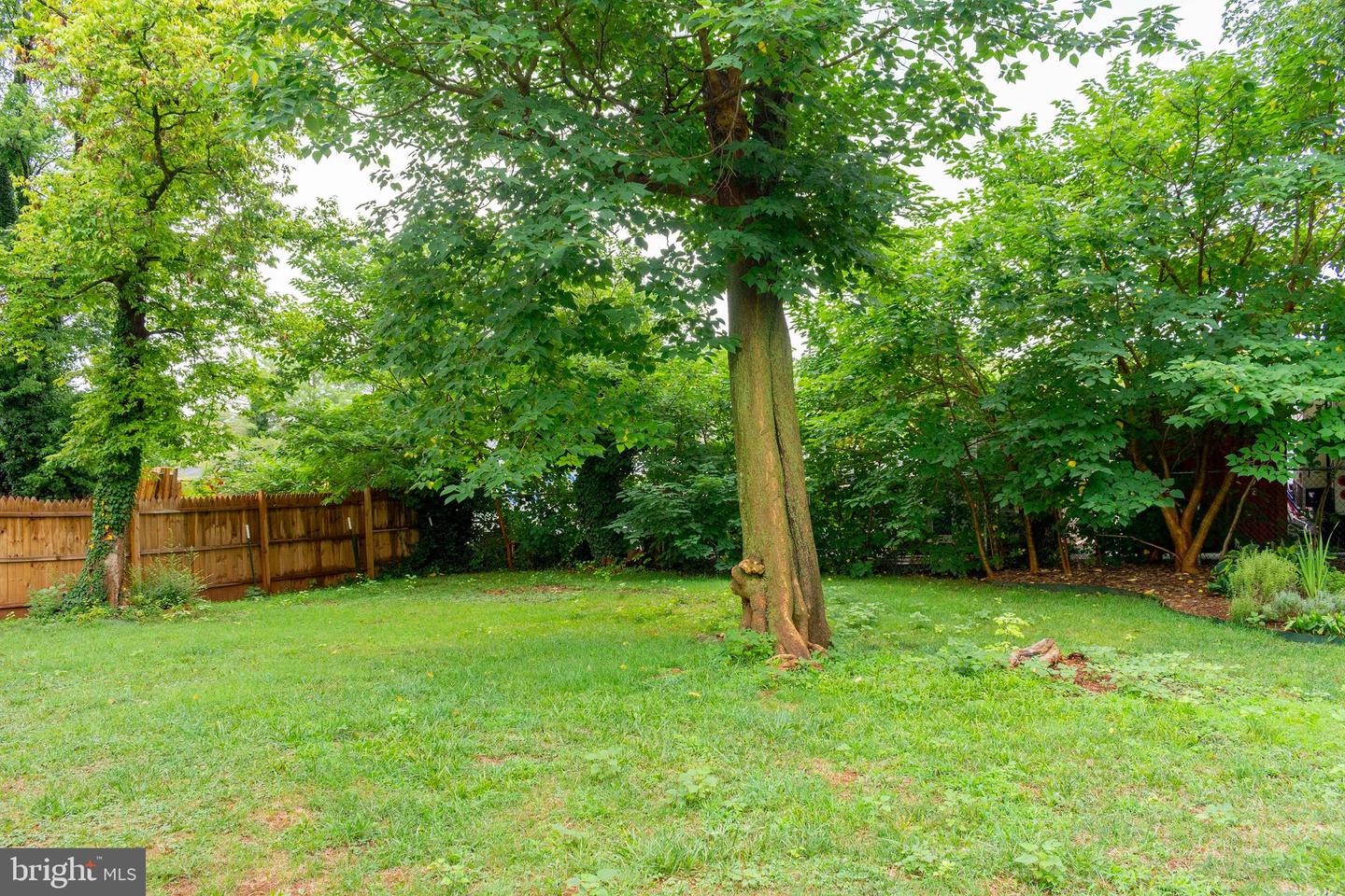 358 Williams Dr Property Photo 28