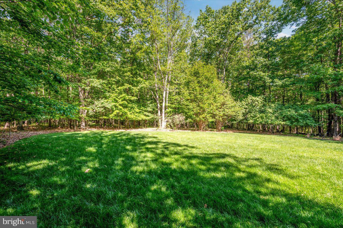 6134 Walkers Hollow Way Property Photo 21