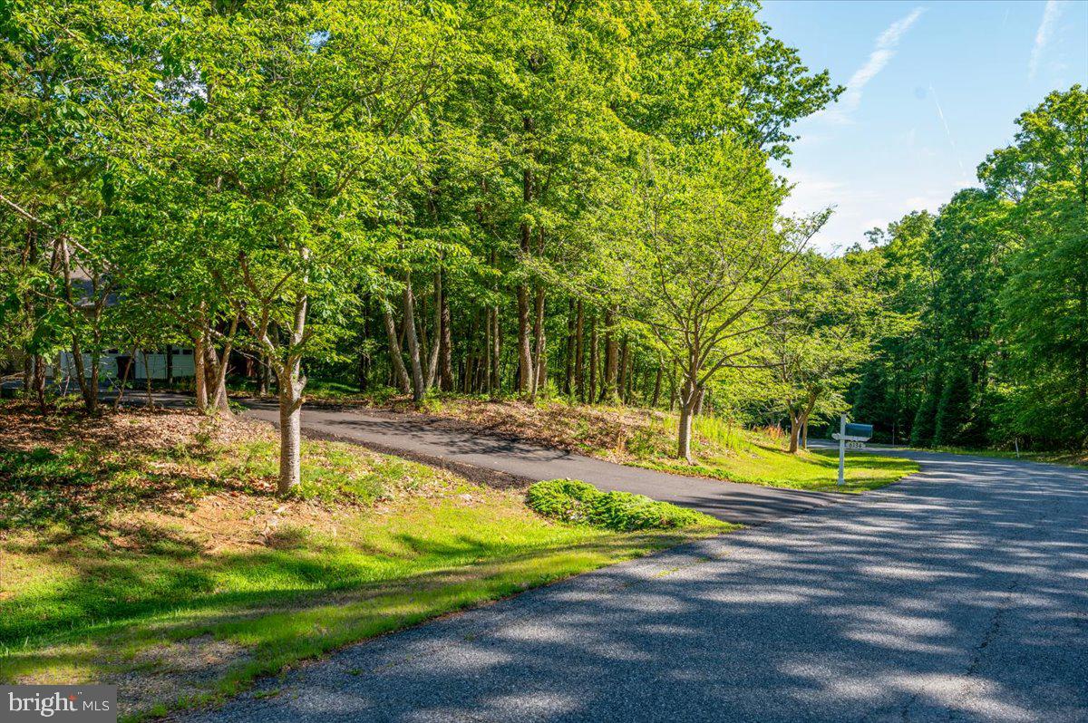 6134 Walkers Hollow Way Property Photo 77
