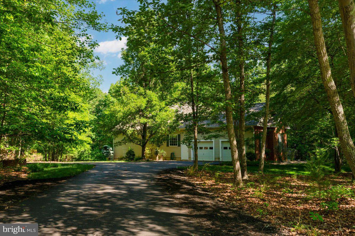 6134 Walkers Hollow Way Property Photo 78