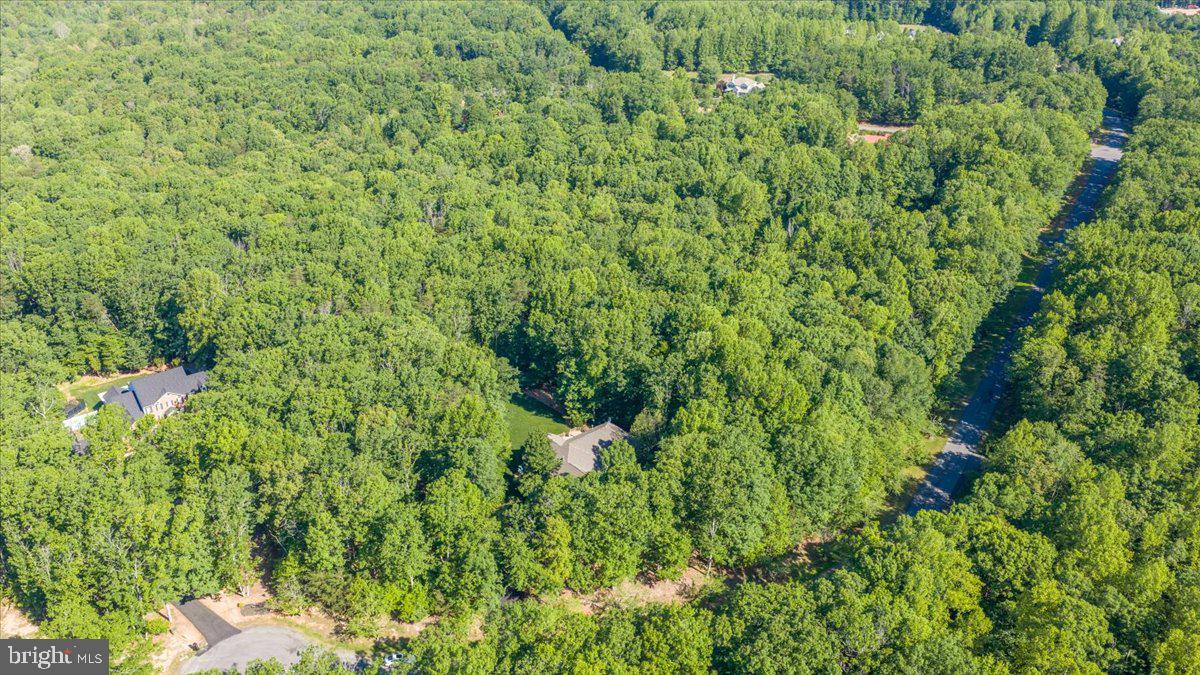 6134 Walkers Hollow Way Property Photo 84