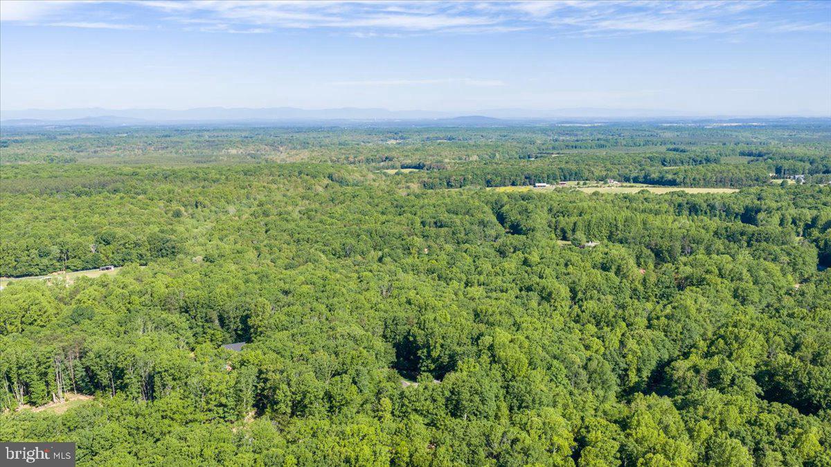 6134 Walkers Hollow Way Property Photo 85