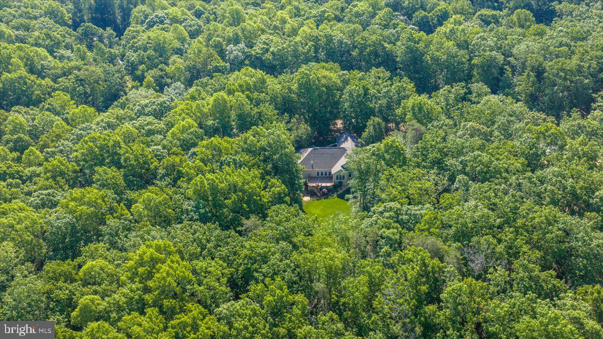 6134 Walkers Hollow Way Property Photo 86