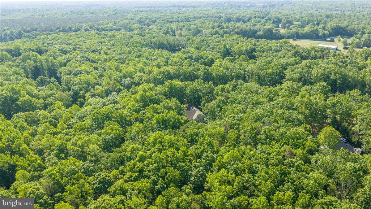 6134 Walkers Hollow Way Property Photo 87