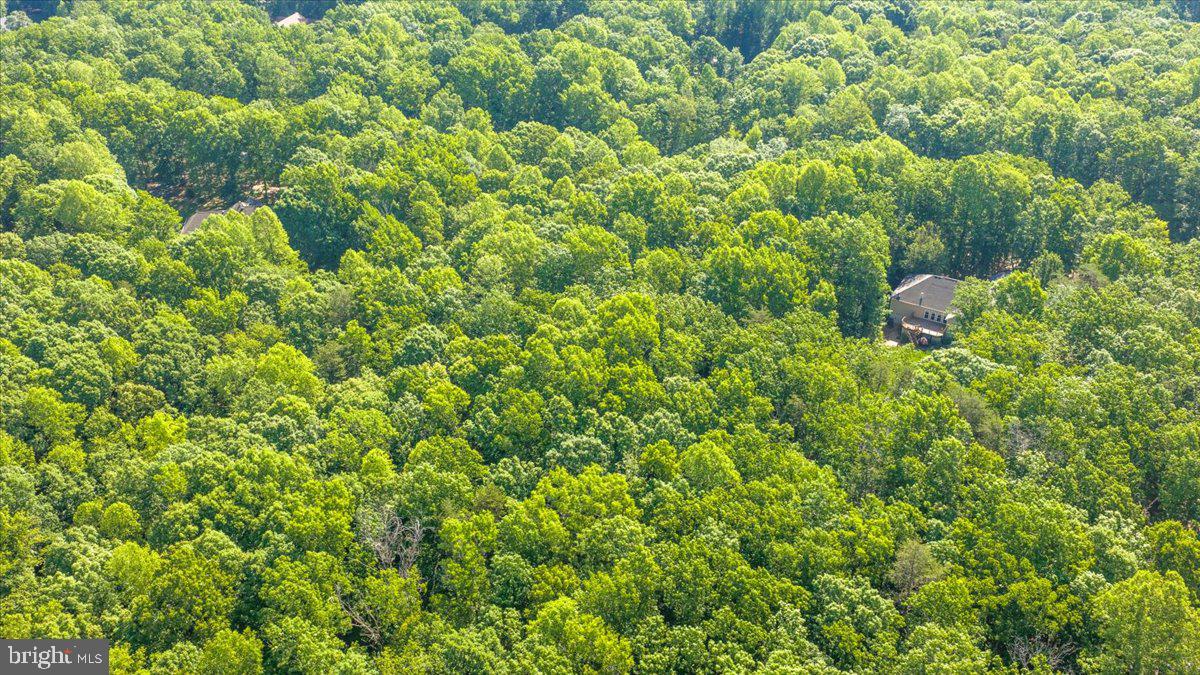 6134 Walkers Hollow Way Property Photo 88