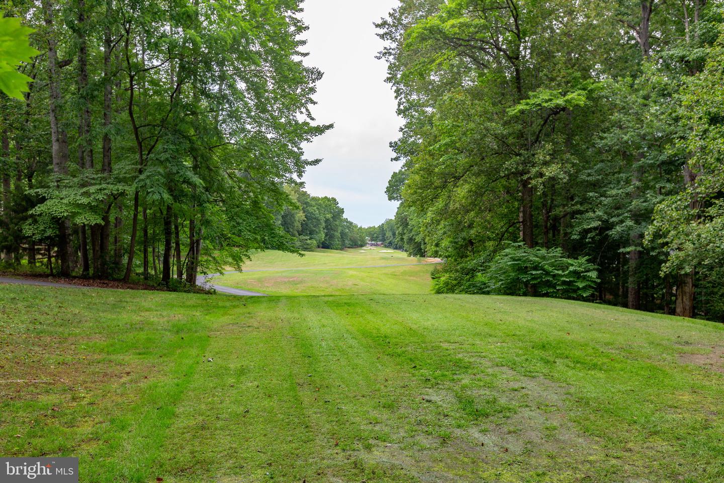 102 Eagle Ct Property Photo 34