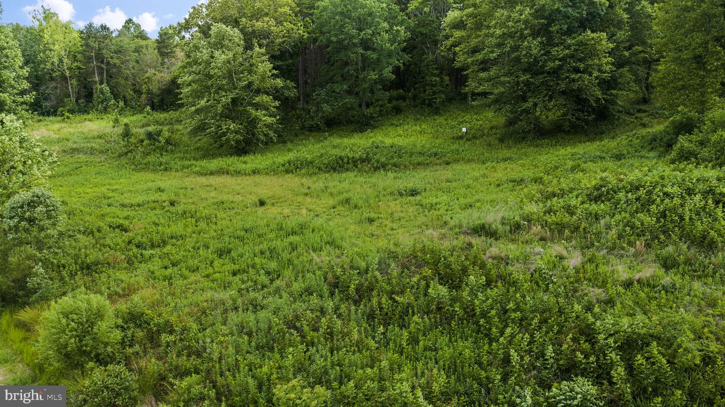 Lot 6 Bella Vista Dr Property Photo 13