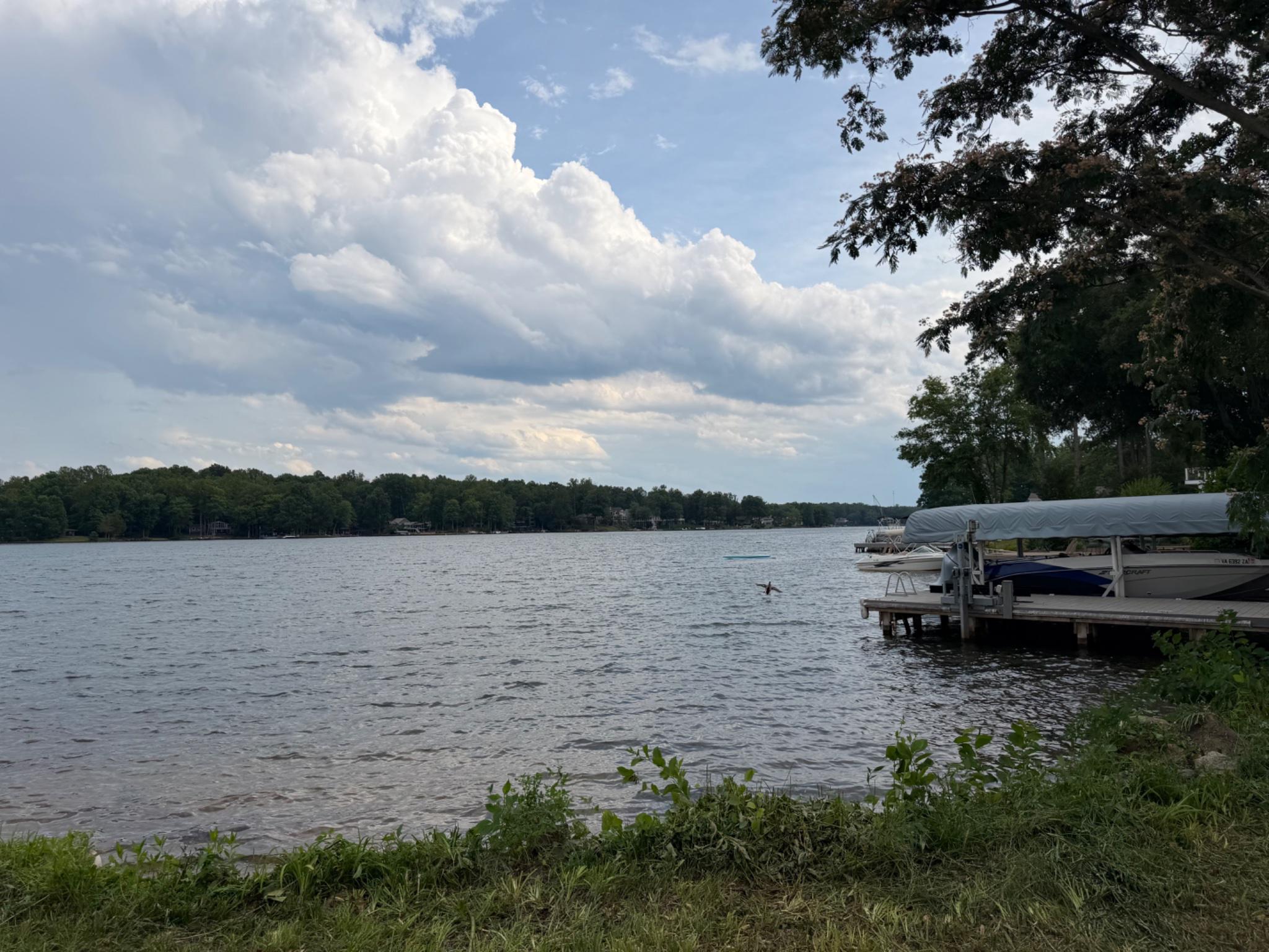 100 Flat Run Property Photo 5