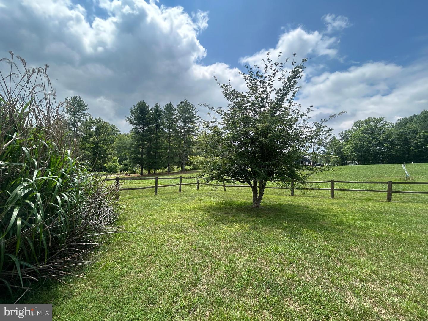 23221 Independence Rd Property Photo 32
