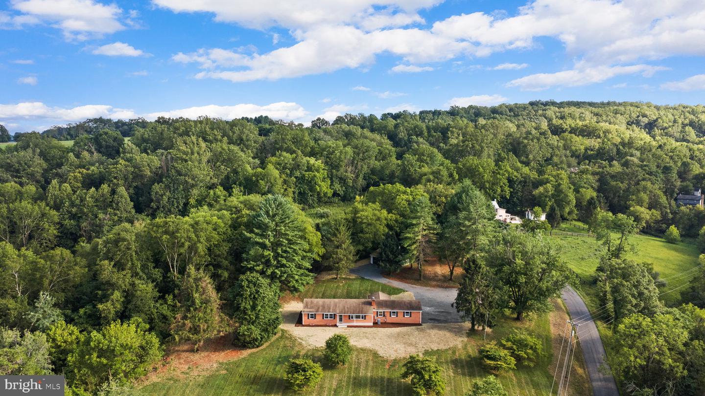 9271 Little Skyline Dr Property Photo 41