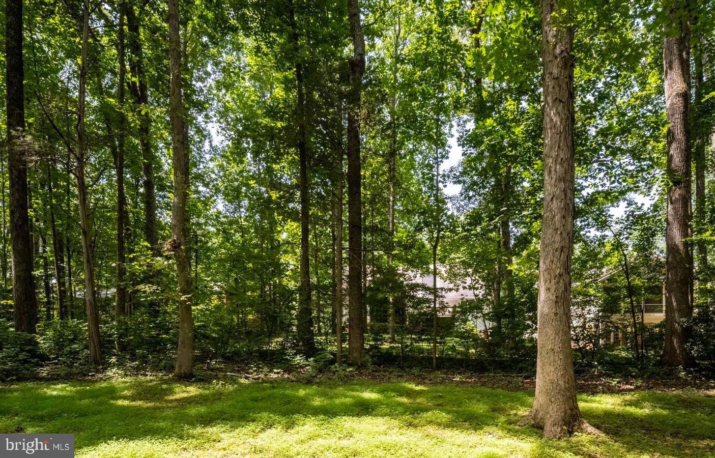 109 Butler Cir Property Photo 36
