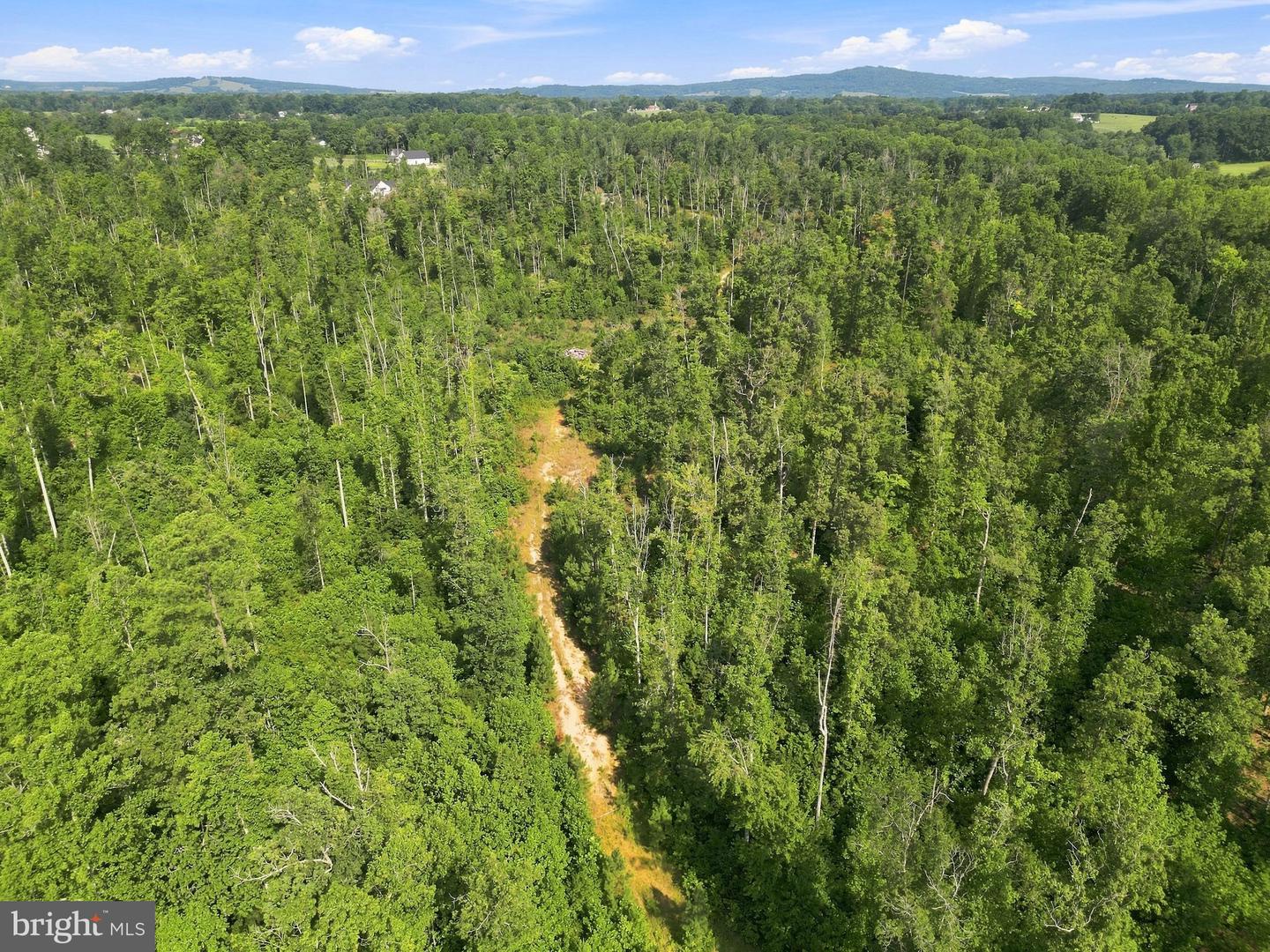 Lot6 Zachary Taylor Hwy Property Photo 8