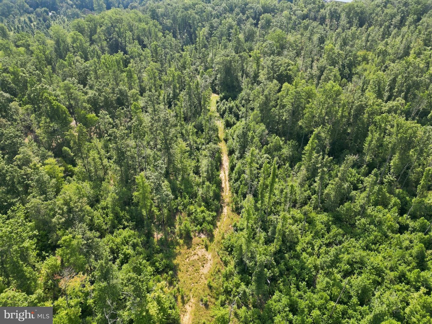 Lot6 Zachary Taylor Hwy Property Photo 11